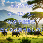 zoo