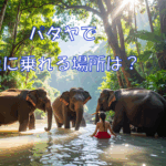 パタヤで象に乗れる場所は？
