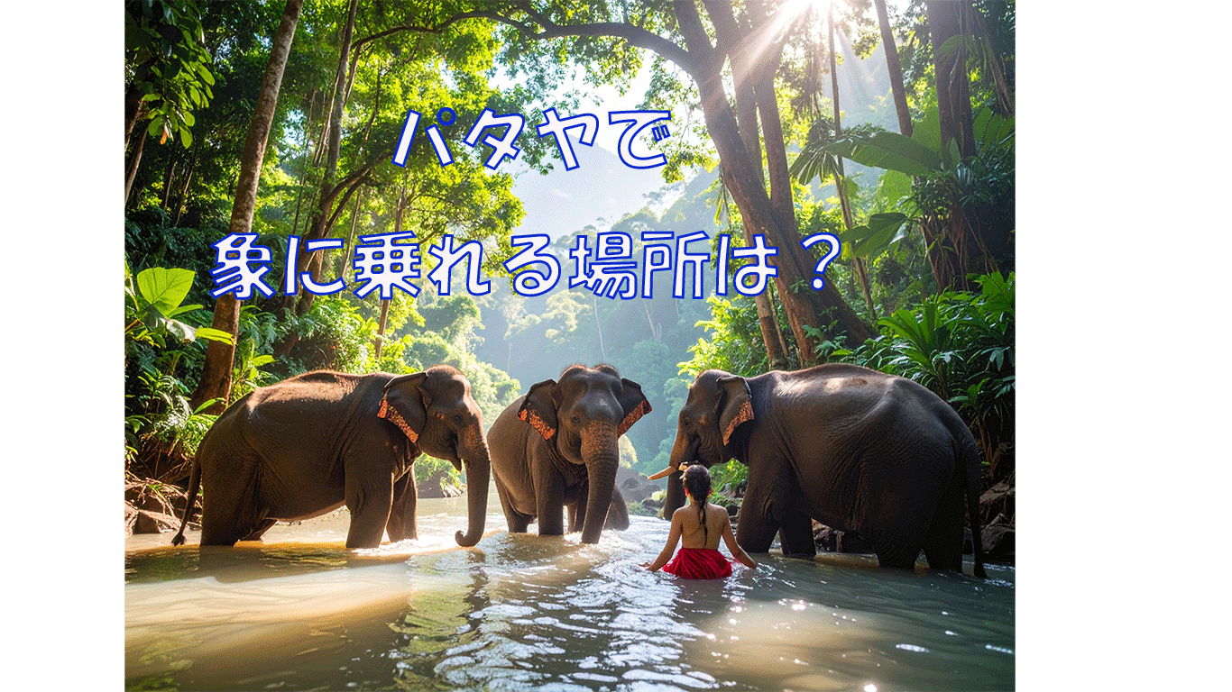 パタヤで象に乗れる場所は？