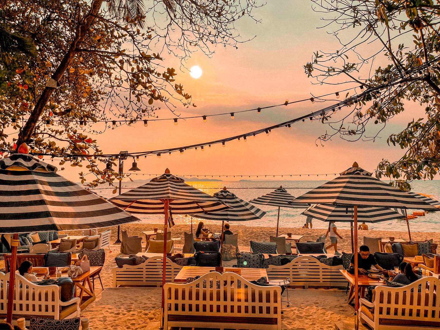 558884526_1409724271156053_6869053958292053536_n