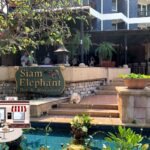 rffe-Siam-Elephant-exterior-2022-10