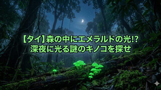 【タイ】森の中にエメラルドの光!? 深夜のジャングルで「光るキノコ」を探す冒険がミステリアスすぎる