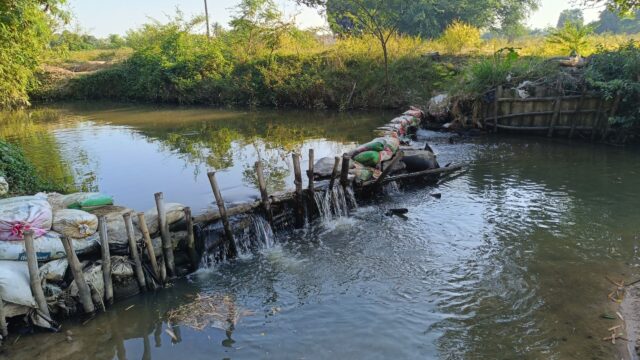 お寺帰りにタンブンしてきた｜魚の餌やりがちょっと楽しかった話