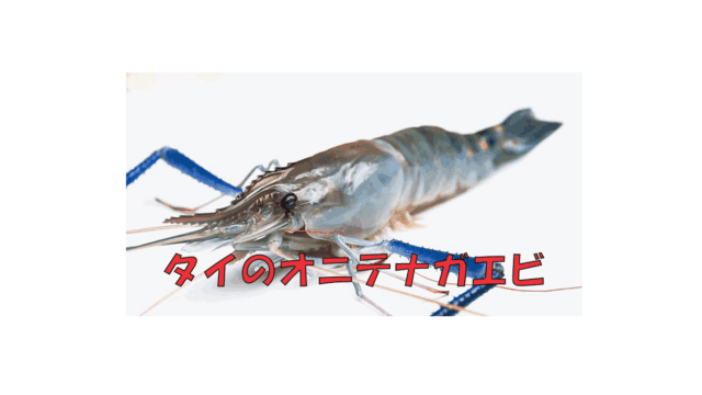 タイのオニテナガエビ｜釣って食べて楽しむシーフード体験ガイド