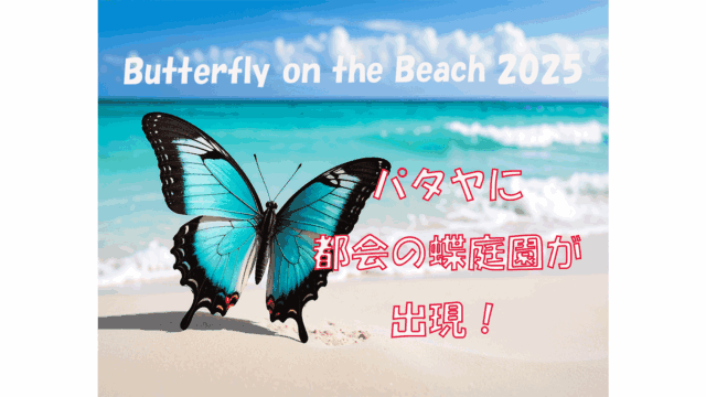 Butterfly on the Beach 2025｜パタヤに“都会の蝶庭園”が出現！見どころ・参加方法まとめ
