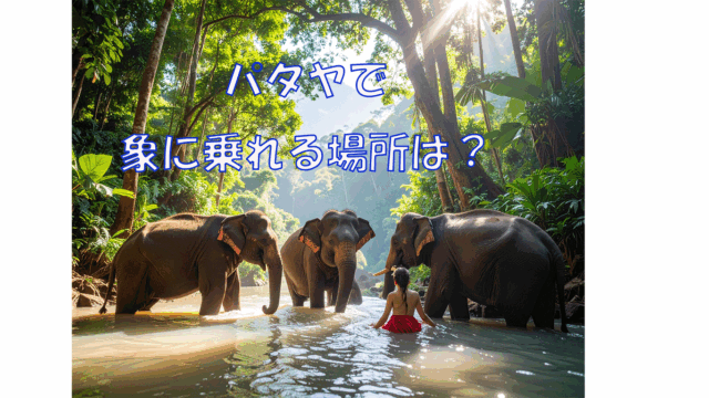 パタヤで象に乗れる場所は？本物の体験型エコツアーを紹介